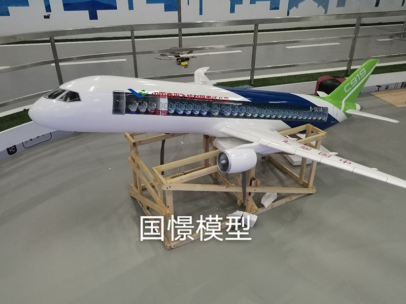 井冈山市飞机模型